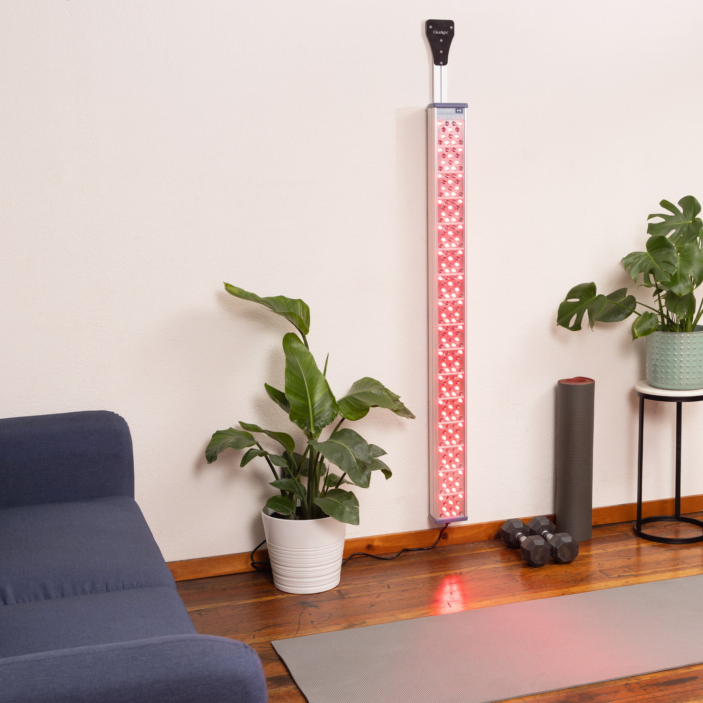 Adjustable Wall Mount